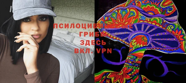 молекула духа Алзамай