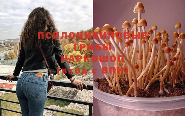 круглые Алексин