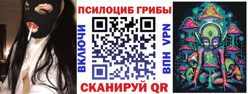 Галлюциногенные грибы Psilocybine cubensis  купить  цена  Старый Оскол 
